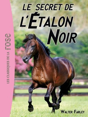 cover image of L'Étalon Noir 09--Le secret de l'Étalon Noir